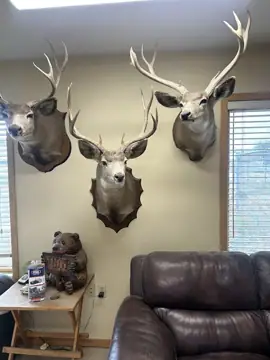 Park County RV Inc in Cody, WY