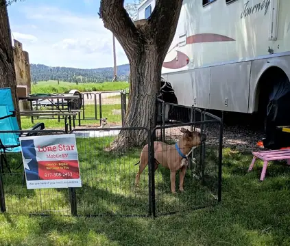 Lone Star Mobile RV Service, Inc photo 3