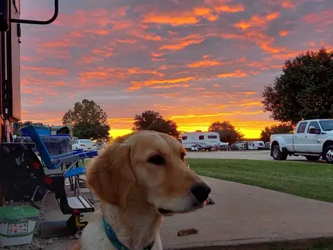 Safe Travels RV Services Co photo 3