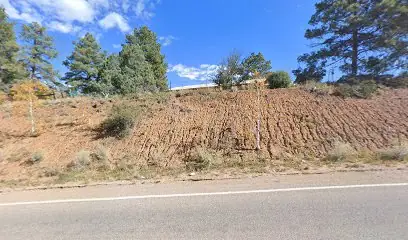 Merrick's Mobile RV Repair LLC in Durango, CO