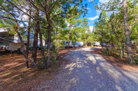 Rainbow Forest RV Park photo 3