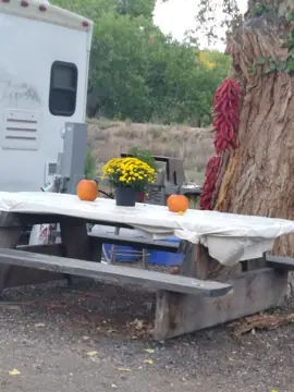 Ace Rv & Trailer Repair in Los Lunas, NM
