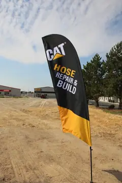 Western States Cat photo 2